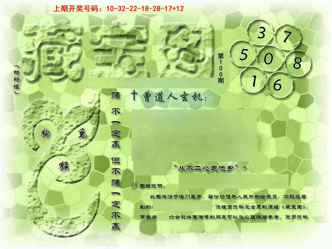 100期假新藏宝图[图]